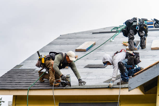 Professional Roofing technician working in Basco, IL